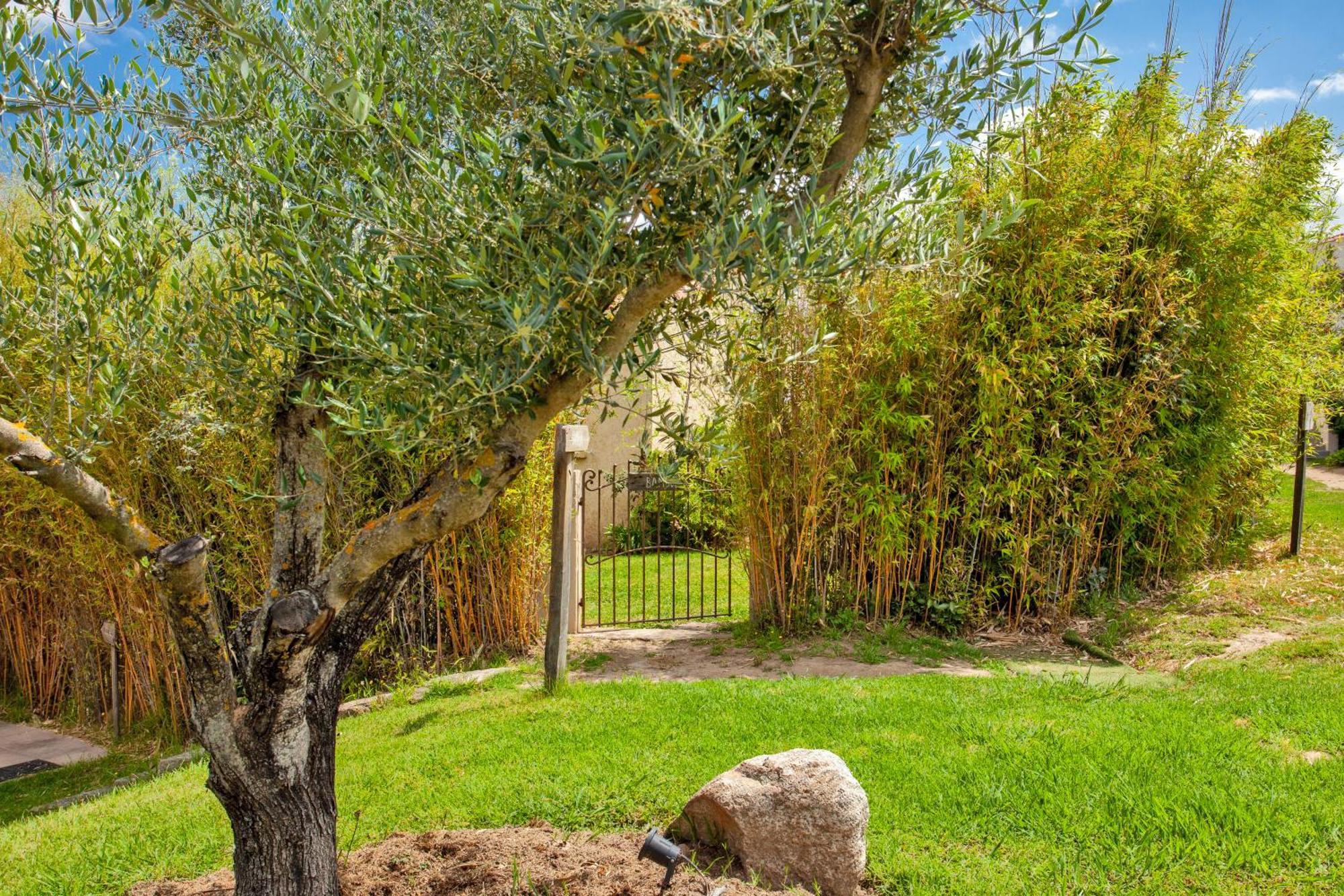 Residence Acquavital Calvi  Luaran gambar